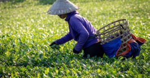 アメリカ経済の最新展開：知られざる波紋が資産運用を変える