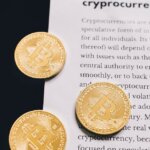 アメリカ経済の“今”を読む：レアアース、消費者心理、世界を揺るがす巨額債務の舞台裏